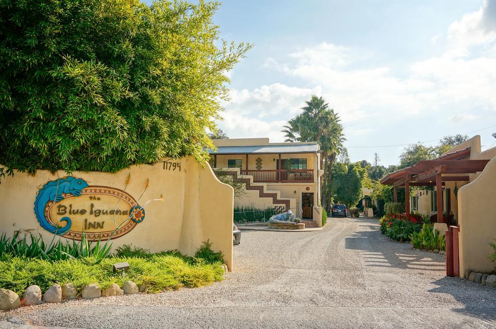 Blue Iguana Inn Ojai Eksteriør billede
